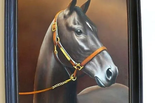 Portret konia.  A. Tyszkiewicz, Mazowieckie, Warszawa
