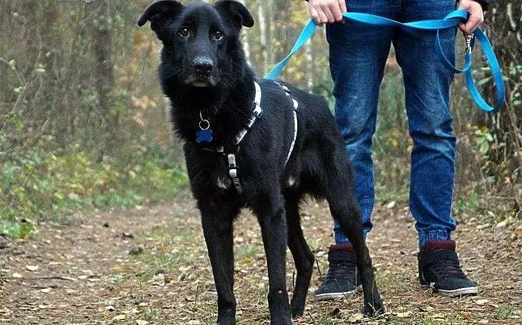 Lucjan Czarny :), warmińsko-mazurskie Olsztyn, Warmińsko-mazurskie, Olsztyn