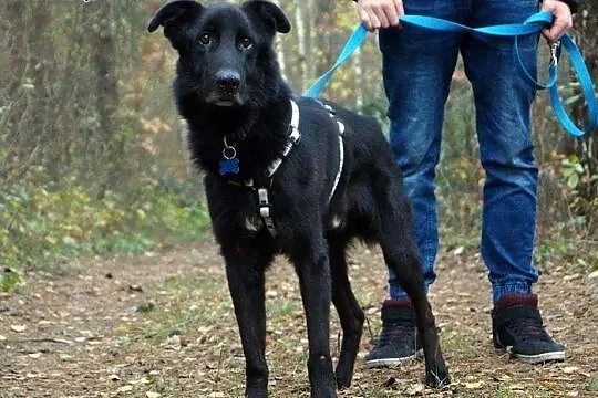 Lucjan Czarny :),  warmińsko-mazurskie Olsztyn, Warmińsko-mazurskie, Olsztyn