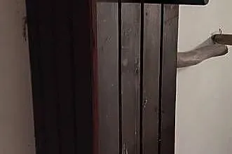 Budki lęgowe Książki Walii