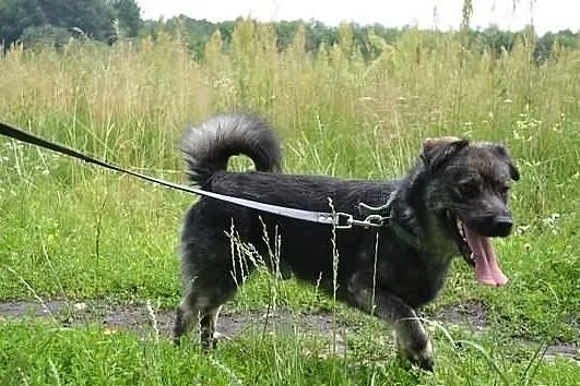 Ogorek prosi o nowe,lepsze zycie