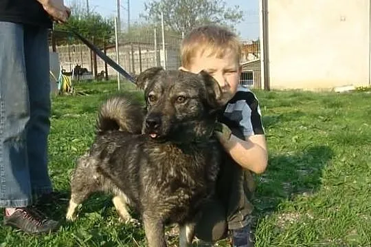 Ogorek prosi o nowe,lepsze zycie