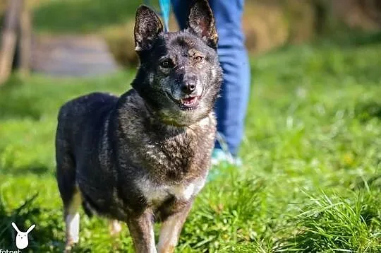 Stella pocieszy każdego smutasa!