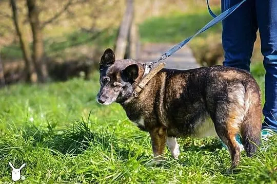 Stella pocieszy każdego smutasa!