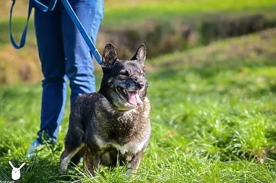 Stella pocieszy każdego smutasa!