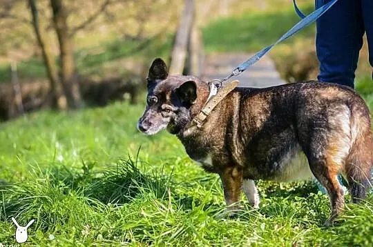 Stella pocieszy każdego smutasa!