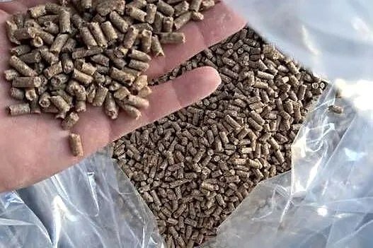 Pellet wysokobiałkowy dla ryb