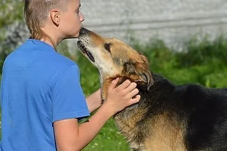 Dziadek marzy o kochającym i bezpiecznym domku na 