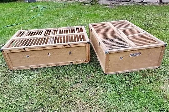 Klatki transportowe dla gołębi, Łódzkie, Dubidze