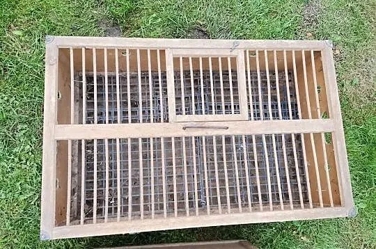 Klatki transportowe dla gołębi, Łódzkie, Dubidze