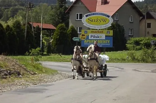 para zaprzęgowa fiordów