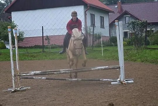 Para zaprzęgowa fiordów
