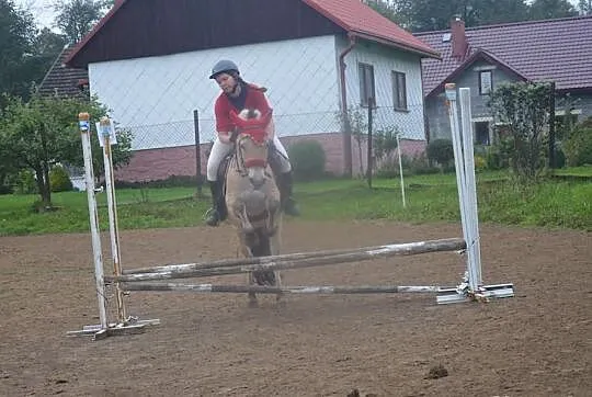 Para zaprzęgowa fiordów