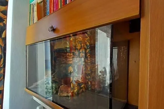 Sprzedam Akwarium Terrarium 100L, Małopolskie, Kraków