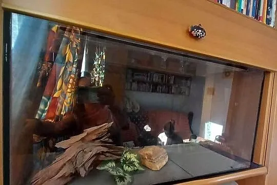 Sprzedam Akwarium Terrarium 100L, Małopolskie, Kraków
