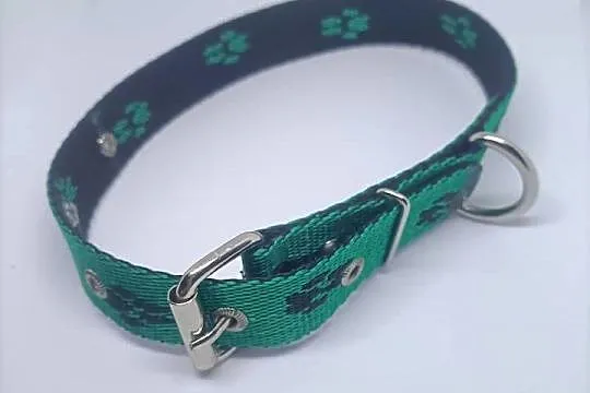Obroża dla psa 25mm/60cm, Lubuskie, Gorzów Wielkopolski