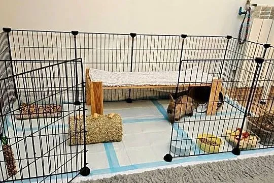 Kojec dla królika wybieg wewnętrzny klatka metalowa DIY