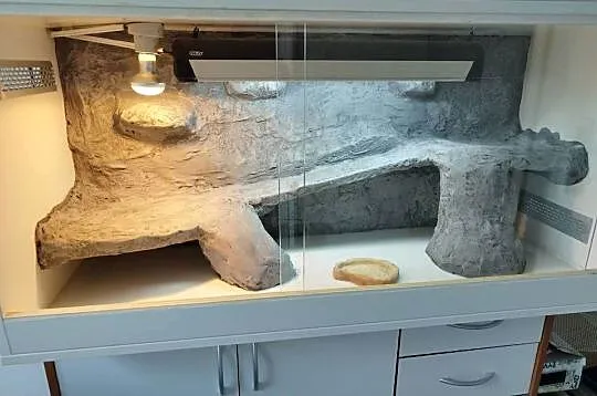 Terrarium dla gada.Z płyty meblowej.