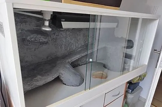 Terrarium dla gada.Z płyty meblowej., Wielkopolskie, Gostyń