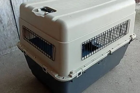 duży transporter dla psów / 496, Kujawsko-pomorskie, Byczyna