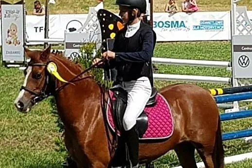 Kuc sportowy, Wielkopolskie, Śrem