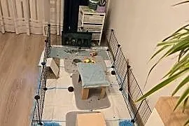Modułowy wybieg dla gryzoni kojec klatka dla królika