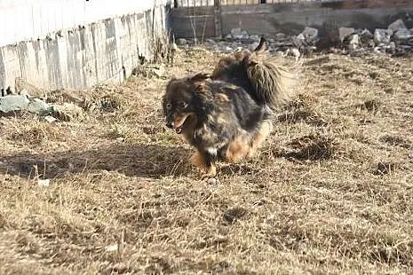 Pokaż Lenie, że świat i ludzie nie są źli daj jej 