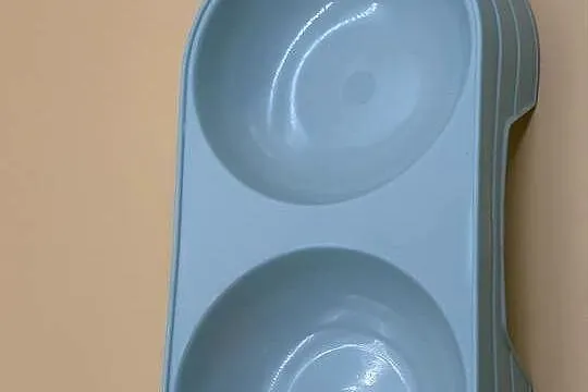 Miska dla psa lub kota, Wielkopolskie, Ostrzeszów
