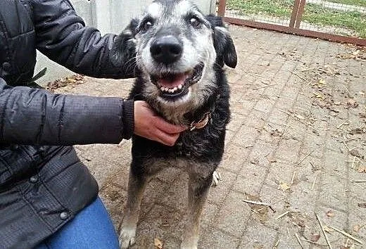 Barnaba wyrzucony jak zabawka, nie przeżyje zimy w