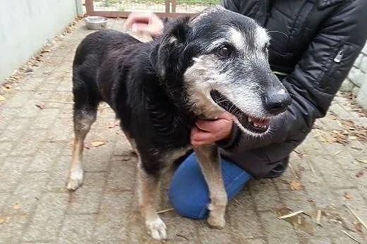 Barnaba wyrzucony jak zabawka, nie przeżyje zimy w