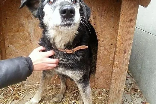 Barnaba wyrzucony jak zabawka, nie przeżyje zimy w