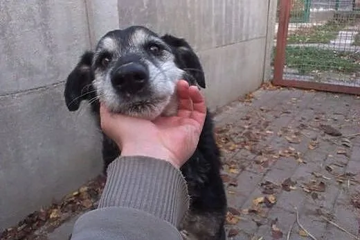 Barnaba wyrzucony jak zabawka, nie przeżyje zimy w