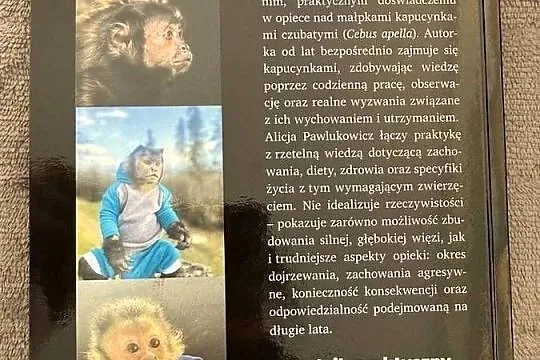 Kapucynka w domu - poradnik, Lubuskie, Krosno Odrzańskie