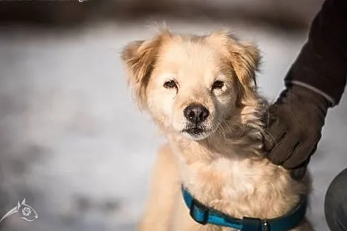 Kto pokocha MIETKA?,  śląskie Gliwice