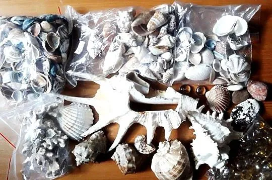 ozdoby do akwarium muszle kamienie ok. 2,7 kg
