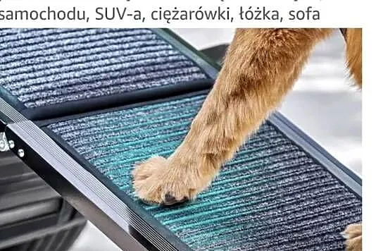 Składana rampa dla dużych psów, Pomorskie, Starogard Gdański