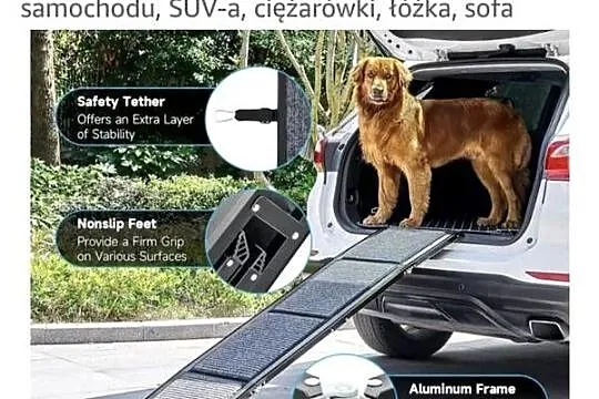 Składana rampa dla dużych psów, Pomorskie, Starogard Gdański