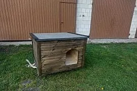 Budy ocieplane dla psów