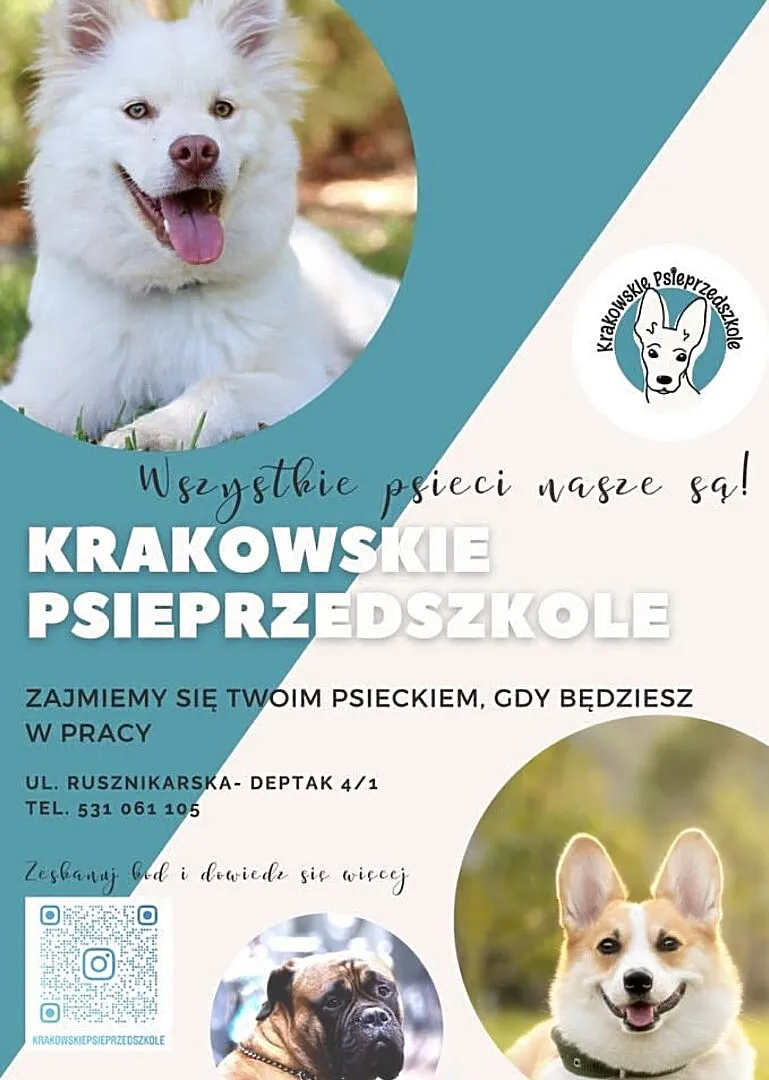 Krakowskie Psieprzedszkole - Twoje Psie Królestwo!, Małopolskie, Kraków