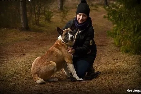 Amber - czeka na dom,  pomorskie Wejherowo