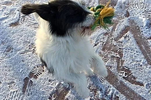 Świat na lepsze się zmienia temu, kto pokocha młod