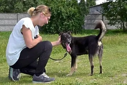 Nie zapomnij o mnie - Irysek czeka na pomoc... FIL