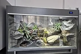 terrarium