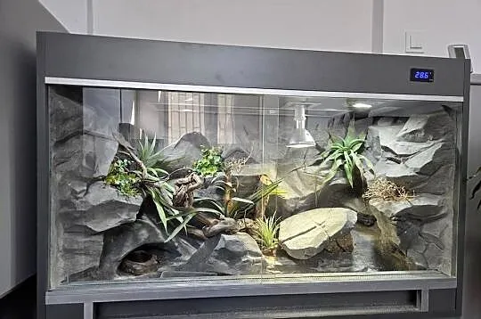terrarium