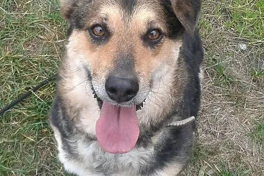 Lani -czekam na przyjaciela, takiego na zawsze,  ś