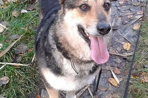 Lani -czekam na przyjaciela, takiego na zawsze,  ś