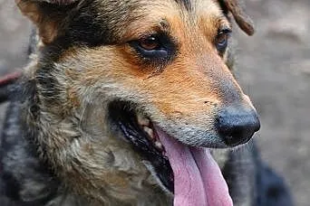 Lani -czekam na przyjaciela, takiego na zawsze,  ś