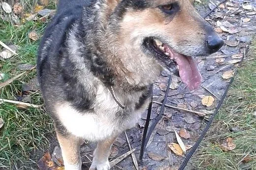 Lani -czekam na przyjaciela, takiego na zawsze,  ś
