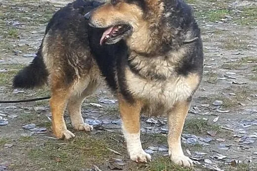 Lani -czekam na przyjaciela, takiego na zawsze,  ś