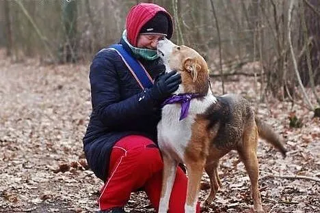 Aster młody sympatyczny piesek szuka kochającego d